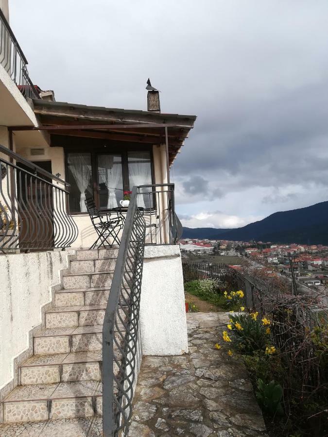 Country Guesthouse Αερικό Karpenísion Extérieur photo